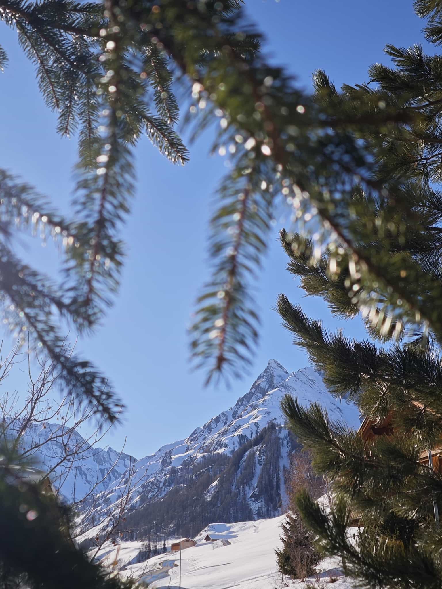 Landscape Image